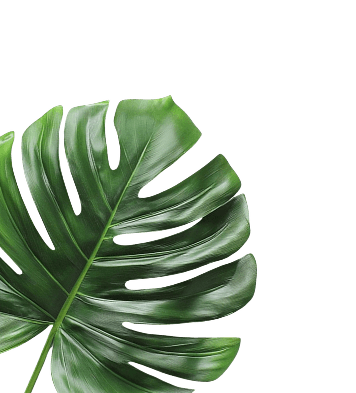 left-leaf