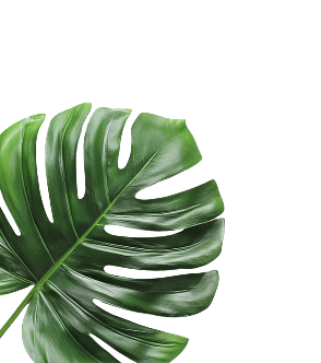 left-leaf