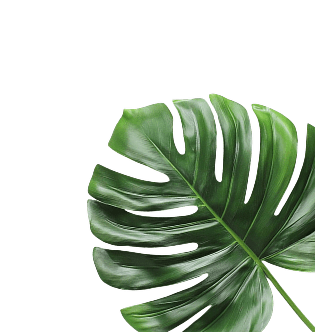 right-leaf