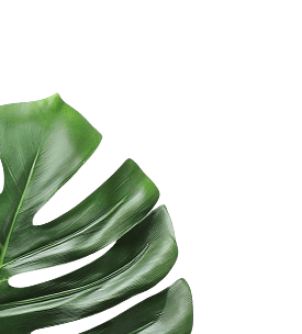 left-leaf